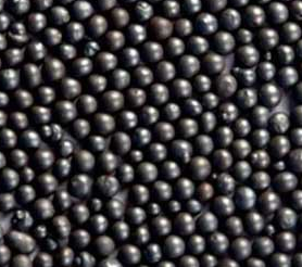 绿巨人软件下载汚